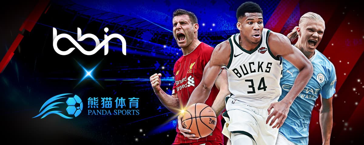 站上罚球点